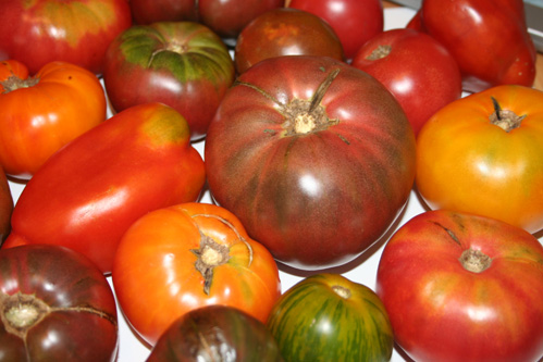 heirloom tomatoes