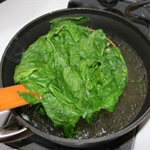 Making Pesto