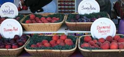 Ferry Market San Francisco