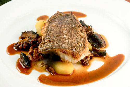 crispy_black_sea bass duck reduction