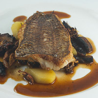 cispy black bass