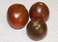 black russian tomato