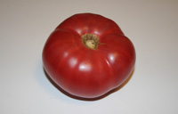 Brandy Wine Tomato