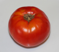 early girl tomatoes