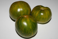 green zebra tomato