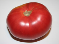 Mortgage Lifter tomato