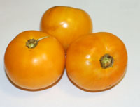 oxacan jewel tomato