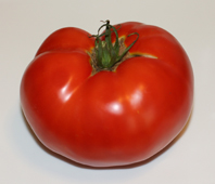 Ramapo Jersey tomato