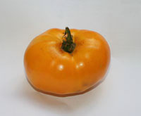 yellow valencia tomato