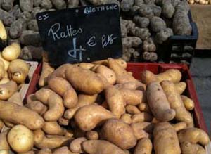 the ratte potato as shown in france